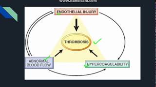 Thrombosis [upl. by Crudden444]