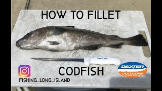 How To Fillet A Codfish Simple amp Easy amp Remove Parasites [upl. by Nocam]