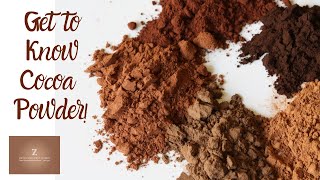 Understanding COCOA POWDER Labels Cookbooks Comparisons  Dutched vs Natural and More [upl. by Lyrradal]