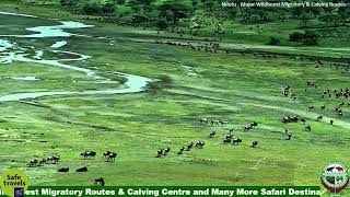 Ngorongoro Crater [upl. by Courtnay]