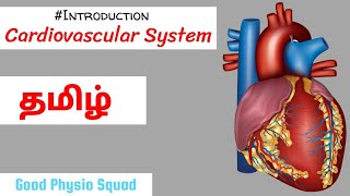 Physiology  Introduction to the Cardiovascular System in Tamil Lecture [upl. by Anide489]