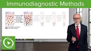 Immunodiagnostic Methods – Immunology  Lecturio [upl. by Stromberg]