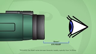 Understanding Binoculars Eye Relief [upl. by Selby717]