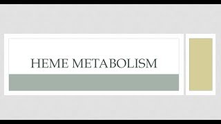 Heme Metaboilsm  session1 [upl. by Wendolyn]