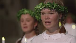 Swedish Lucia Celebration – online concert [upl. by Dygall306]