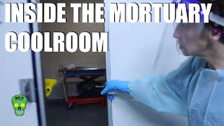 Step inside the mortuary cool room [upl. by Notak]