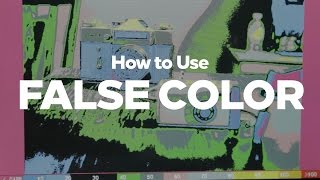 How to Use FALSE COLOR in 2 Minutes [upl. by Pogue]