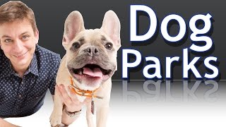 Are Dog Parks a Good Idea for your Dog [upl. by Loferski]