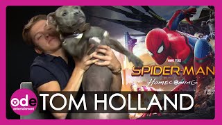 SPIDERMAN Tom Holland brings his dog to our interview [upl. by Anaidiriv]