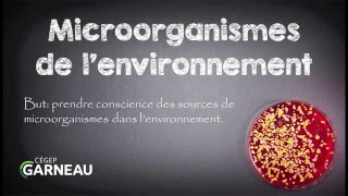 Microorganismes de lenvironnement [upl. by Oirramaj582]