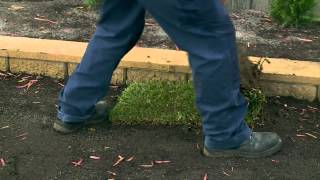 How To Lay Instant Turf  DIY At Bunnings [upl. by Limann]