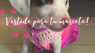 Vestido para perrita a crochet tutorial paso a paso [upl. by Emmott]