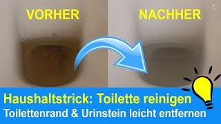 Toilette reinigen Toilettenränder amp Urinstein beseitigen  Kalkflecken entfernen [upl. by Assirehc]