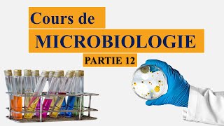 Cours de microbiologie partie 12 les plasmides  conjugaison bactérienne  spores [upl. by Nolla]