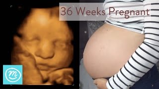 36 Weeks Pregnant What You Need To Know  Channel Mum [upl. by Emina682]