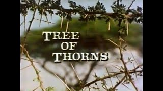 Acacia Tree of Thorns 1983 [upl. by Iris272]