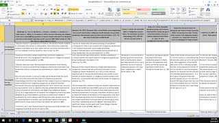 How to Create a Literature Matrix Excel [upl. by Ahseei]