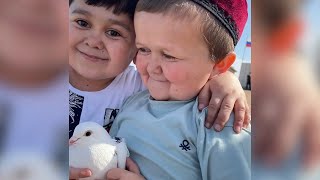 Hasbulla and Abdurozik Declare Peace With a Pigeon [upl. by Arataj618]