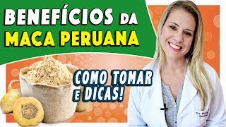 Benefícios Maca Peruana  Para Que Serve e Como Tomar EFEITOS COLATERAIS [upl. by Chellman]