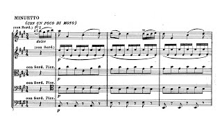 Boccherini  String Quintet in E G 275 Complete Score [upl. by Yewed248]