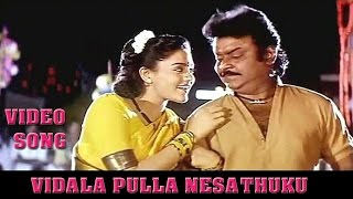 Vidala Pulla HD Song  Periya Maruthu  Vijayakanth Ranjitha [upl. by Howlan855]