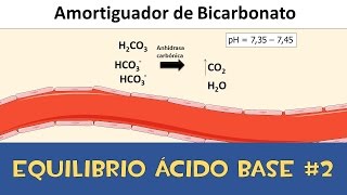 Equilibrio ácido base 2 💉 Amortiguador de los líquidos corporales [upl. by Lauren]