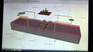 3D illustration of surface acoustic wave SAW biosensors [upl. by Leasa]