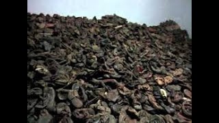 Video Tour AUSCHWITZ  BIRKENAU  Schindler Factory [upl. by Lehplar]