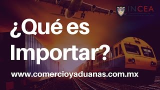 ¿Qué es la importacion [upl. by Ainehs]