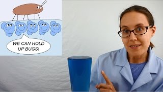 Science Moms Guide to Water Part 2  Surface Tension [upl. by Anivol987]