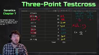 ThreePoint Testcross Example  Genetics [upl. by Monsour]