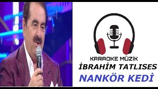 Nankör Kedi KARAOKE Cover [upl. by Hazel538]