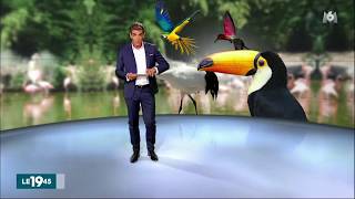 Le Parc des Oiseaux sur M6 [upl. by Hcurab]