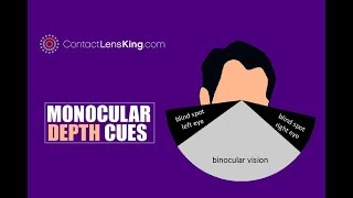 5 Monocular Cues Adjusting To Depth Perception Problems [upl. by Warga]