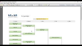 Árvore genealógica em Excel [upl. by Osswald]