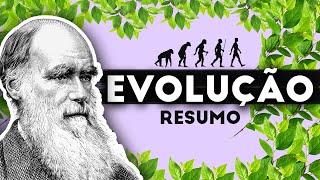 TEORIA DA EVOLUÇÃO  RESUMO DO QUE VOCÊ PRECISA SABER [upl. by Reffotsirk]