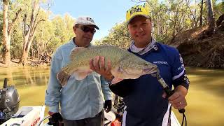 IFISH Electro Fishing for Murray Cod [upl. by Lasley]