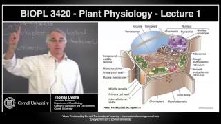 BIOPL3420  Plant Physiology  Lecture 1 [upl. by Atinod584]