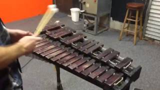 Five Minute Drum Lessons  Introduction to Xylophone [upl. by Gow369]