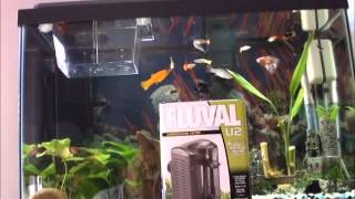 Fluval U underwater Filter Review [upl. by Eentirb]