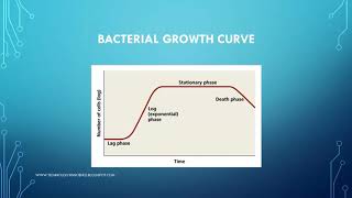 Bacterial Growth Curve [upl. by Adnawak659]