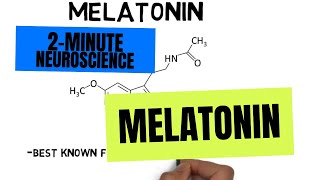 2Minute Neuroscience Melatonin [upl. by Sower]