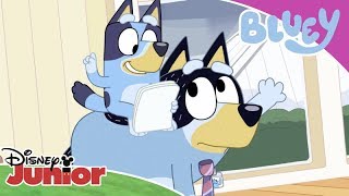 😎 Szefowa Bluey  Bluey  Disney Junior Polska [upl. by Adigirb462]