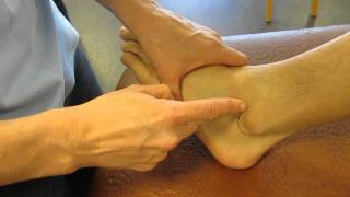 Lateral Malleolus Fibula Ankle Palpation [upl. by Guzel]