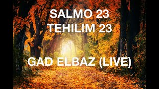 SALMO 23 GAD ELBAZ EN VIVO LYRICS ESPAÑOL FONETICA HEBREA [upl. by Pendleton]