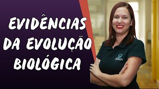 Evidências da Evolução Biológica  Brasil Escola [upl. by Aita]