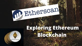 How To Use Etherscan  Everything You Should Know About Etherscan [upl. by Nosnev]