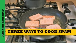 3 Ways To Cook Spam  Cooking With Food Storage Canned Meat [upl. by Essilem]