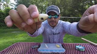 Topwater Lures Best Tips For More Topwater Strikes [upl. by Anenahs]