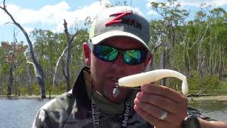 How to catch impoundment barramundi on soft plastics with Vinnie Versfeld [upl. by Sawyor67]